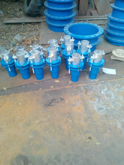 SSQTFsa(chn)SҼ(bio)(zhn);