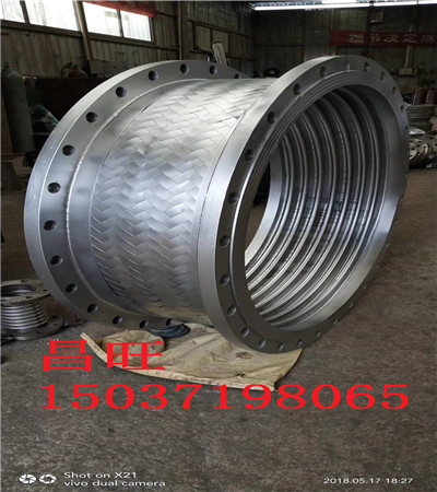 G2020²|бPʽsߴLȈDưbʹ÷v