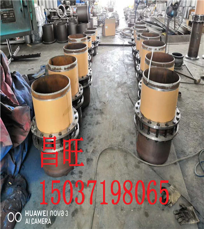 \зmʽsԭ횾߂a(b)չܵSM׃