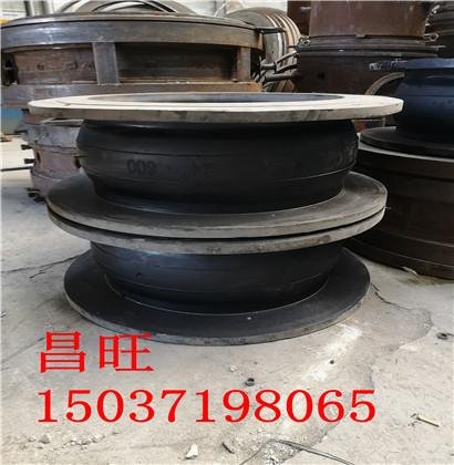 Ϫ͸ߜSSQ-2׹ʽsڏDN1100D܏