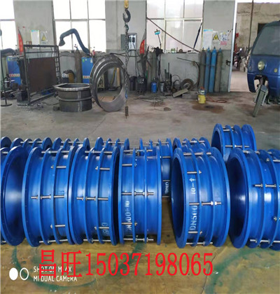 溫嶺市2021新性能技術鋼制柔性伸縮器規(guī)格網絡遠程操作