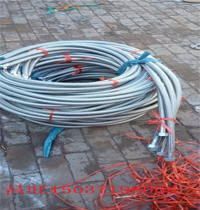 2021½(jng)(j)s(ji)̖(ho)  °l(f)չs(ji)|(zh)Y(ji)(gu)